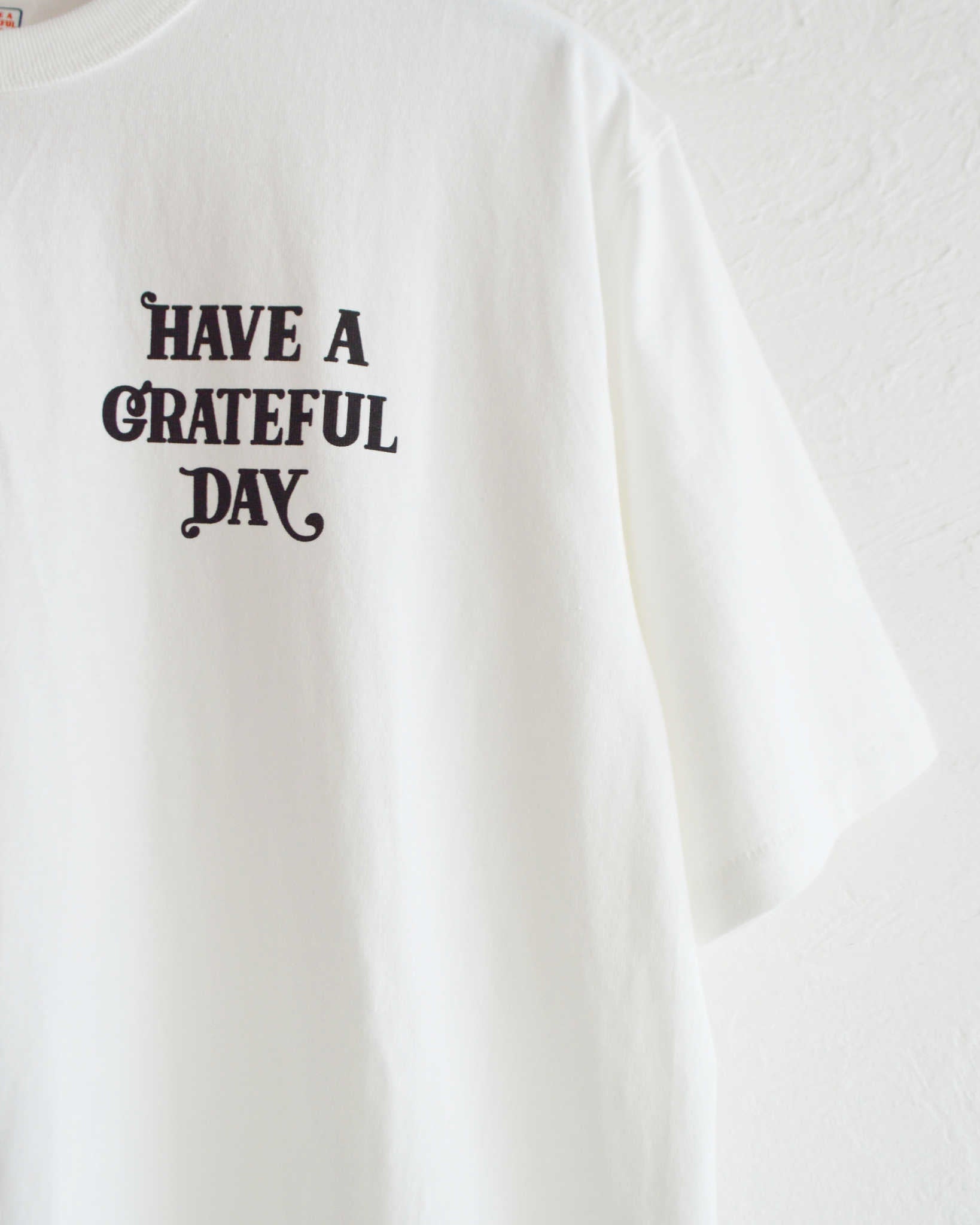 HAVE A GRATEFUL DAY ハブアグレイトフルデイ / T-SHIRT -SMOKE ティーシャツスモーク (WHITE ホワイト)