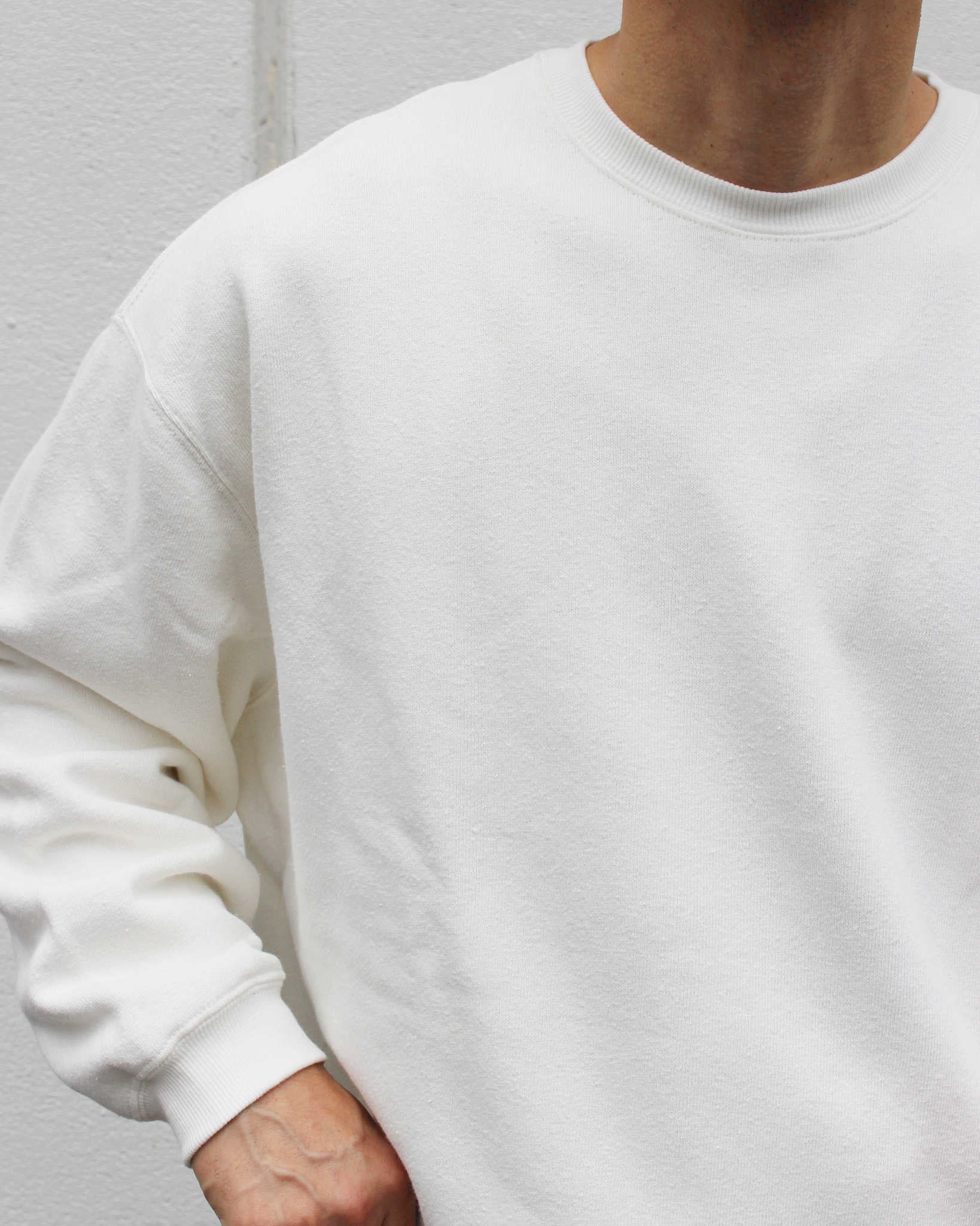 GOHEMP ゴーヘンプ / HEMP BIG CREW ヘンプビッグクルー (NATURAL ナチュラル)