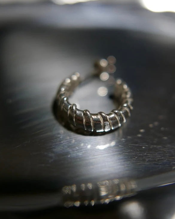 meian メイアン / sterling silver " ARK " アーク ピアス