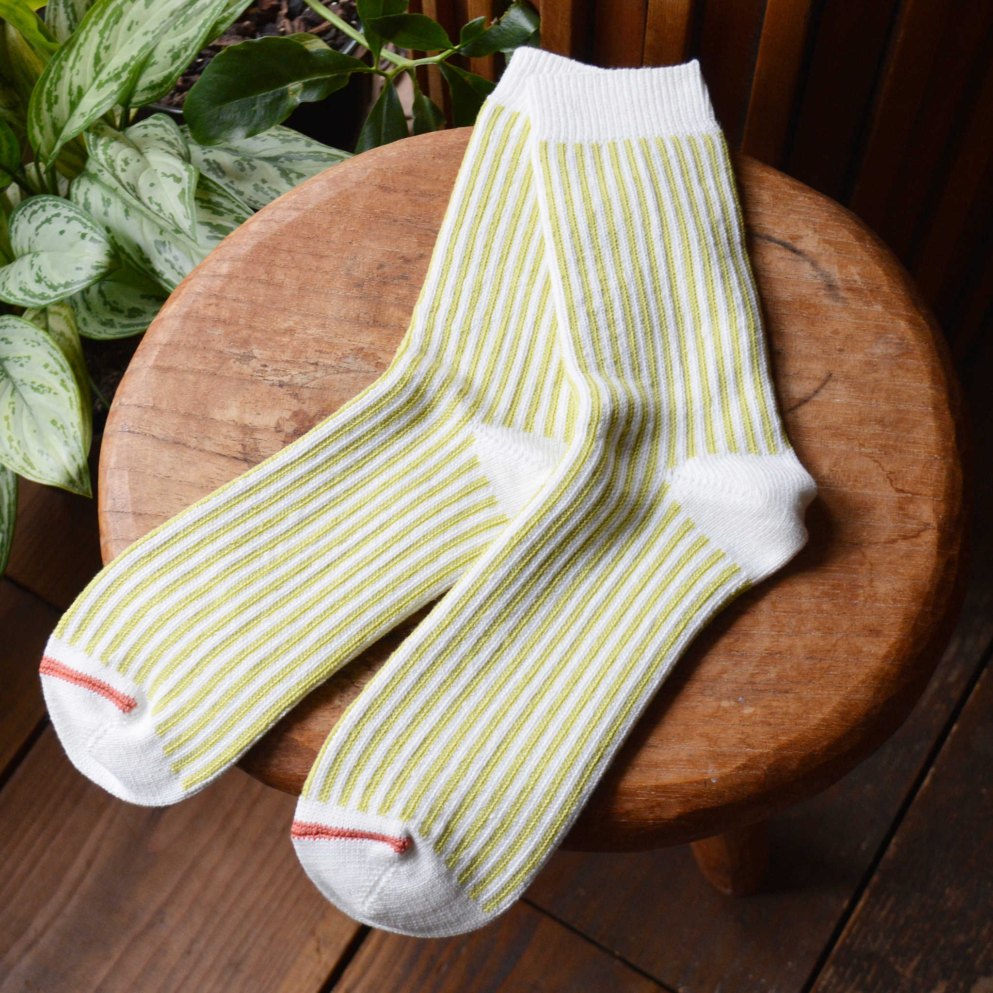 ROTOTO ロトト / VERTICAL STRIPE SOCKS バーティカルストライプソックス