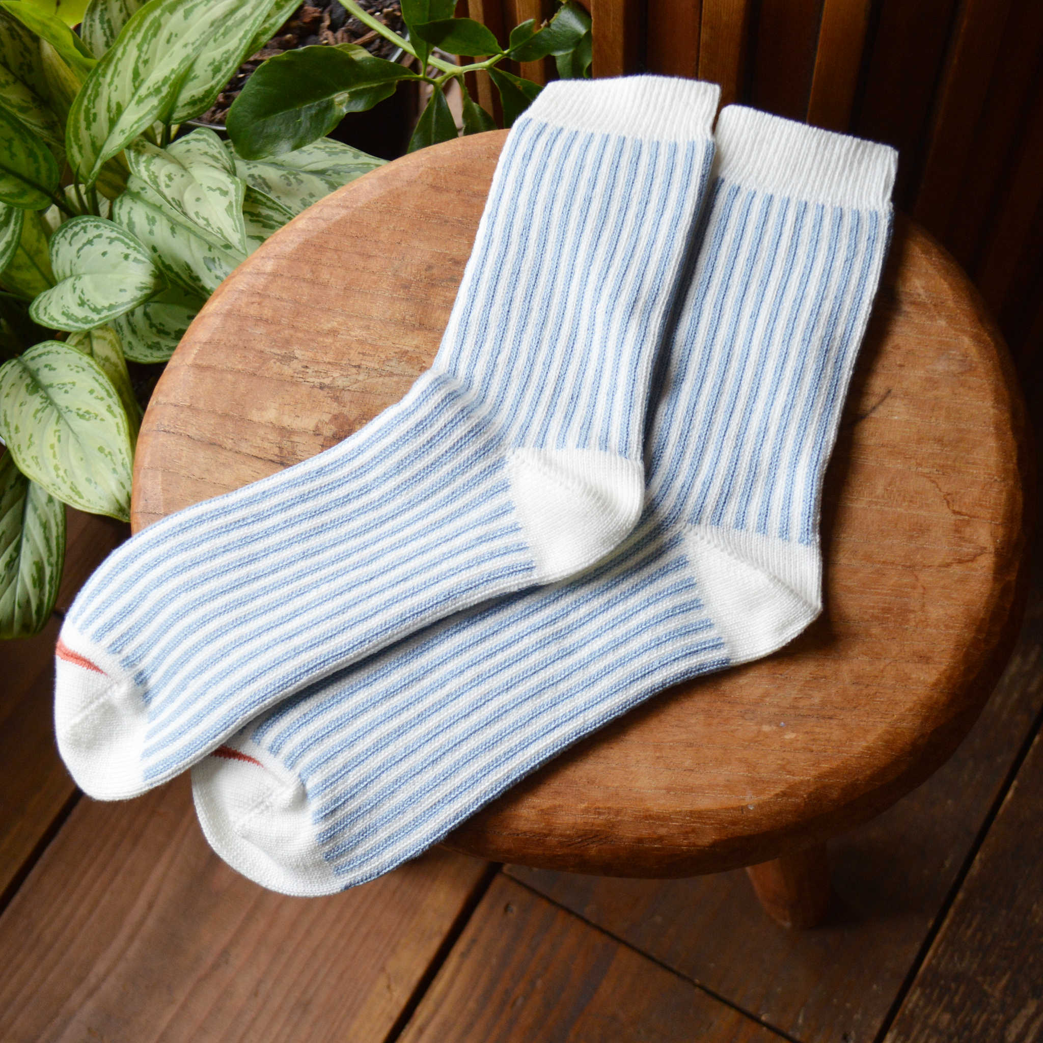 ROTOTO ロトト / VERTICAL STRIPE SOCKS バーティカルストライプソックス