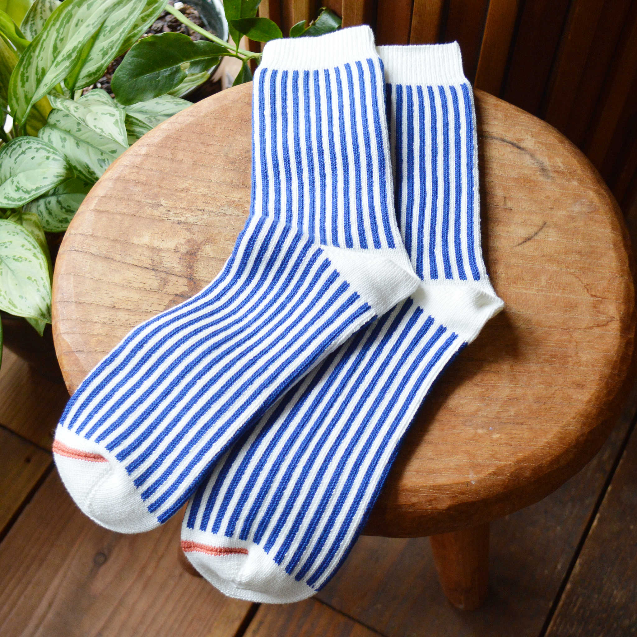 ROTOTO ロトト / VERTICAL STRIPE SOCKS バーティカルストライプソックス