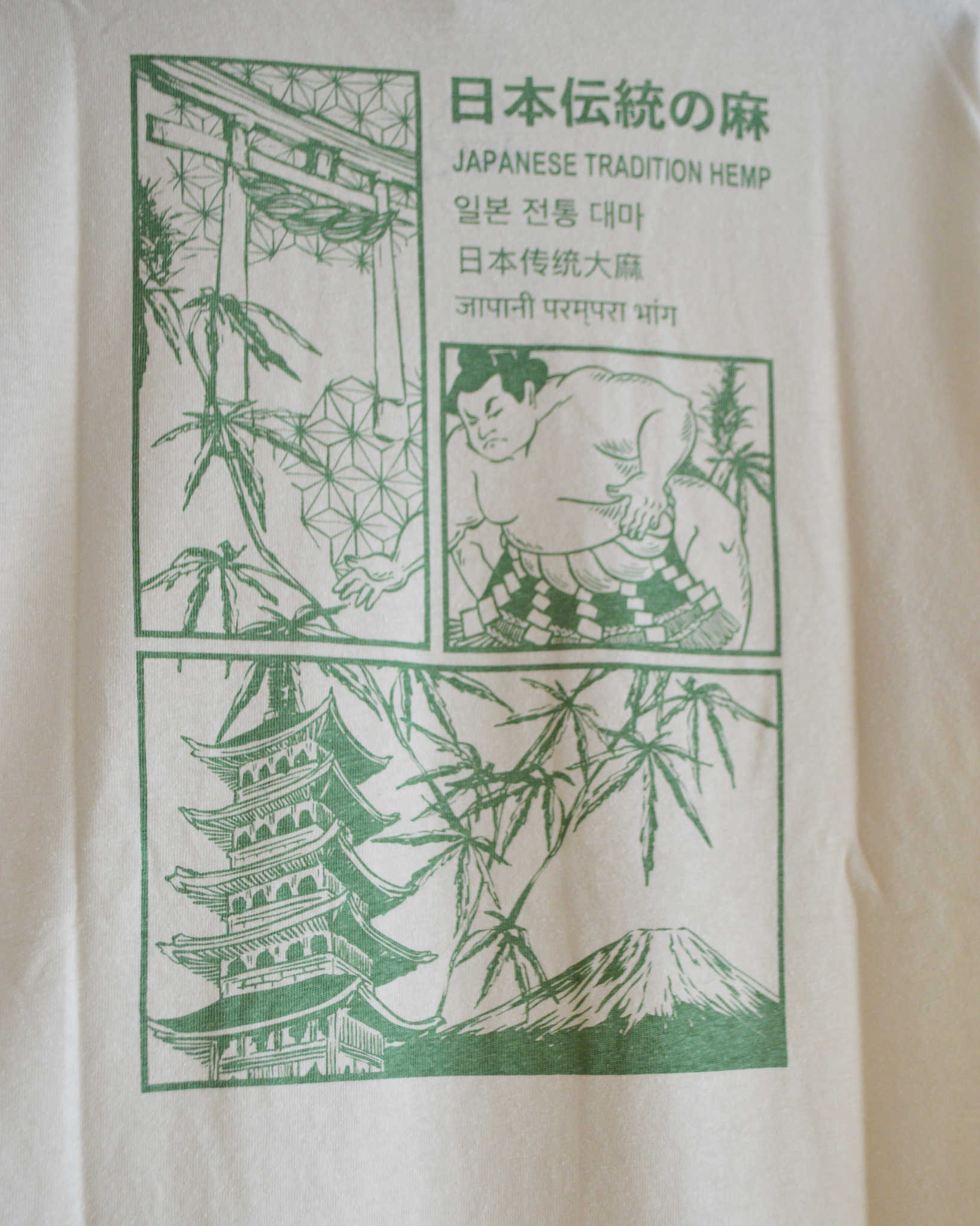 GOHEMP ゴーヘンプ / 日本伝統大麻WIDE FITS TEE ワイドフィットティー (NATURAL ナチュラル)